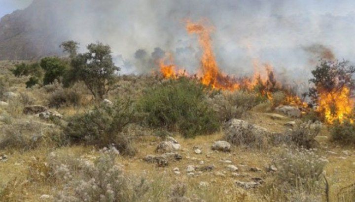 جنگل ازارک چالوس طعمه حریق شد