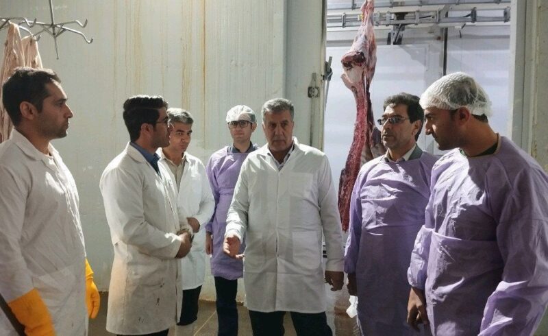بازدید فرماندار از کشتارگاه صنعتی دام نوین ملکان با هدف بررسی و رفع مشکلات