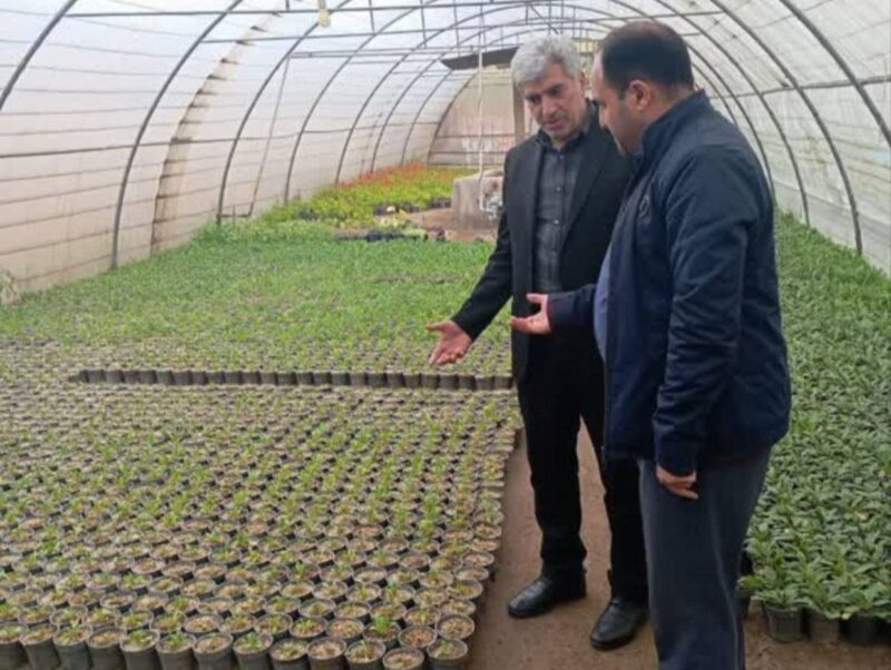 بازدید فرماندار شهرستان اسکو از واحد گلخانه‌ای پیشرفته در ایلخچی