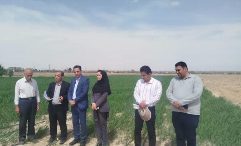 تحویل موقت طرح آبیاری تلفیقی در اراضی ایلخچی شهرستان اسکو