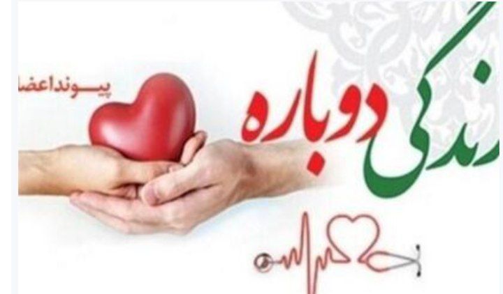 انجمن های اهدای عضو سیستان و بلوچستان، قزوین و اراک رتبه برتر کشوری را ازآن خود کردند