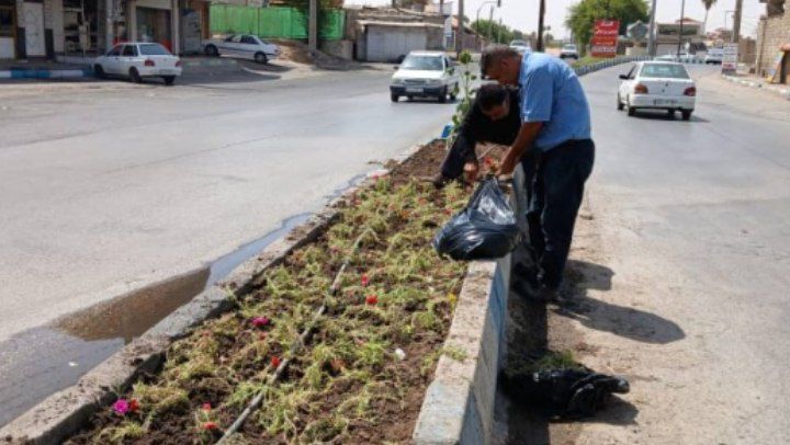 تشریح عملکرد هفتگی معاونت خدمات شهری شهرداری مسجدسلیمان در حوزه فضای سبز 