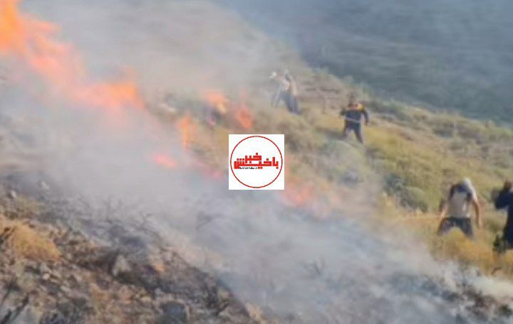 مراتع گویجه بئل طعمه حریق شد