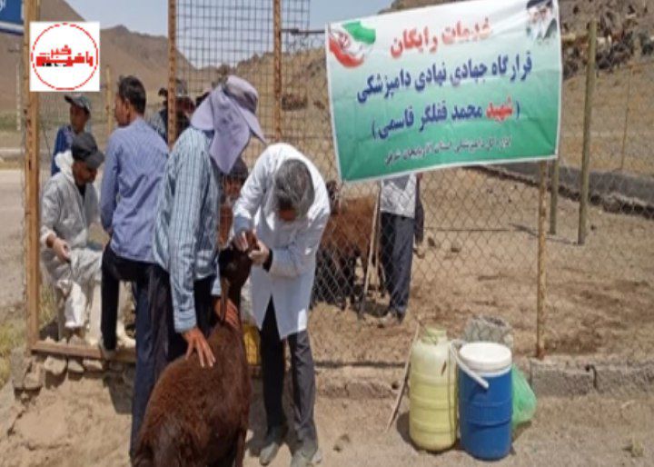 برگزاری اردوی تخصصی یک‌روزه با همکاری قرارگاه جهادی نهادی دامپزشکی در شهرستان عجب‌شیر