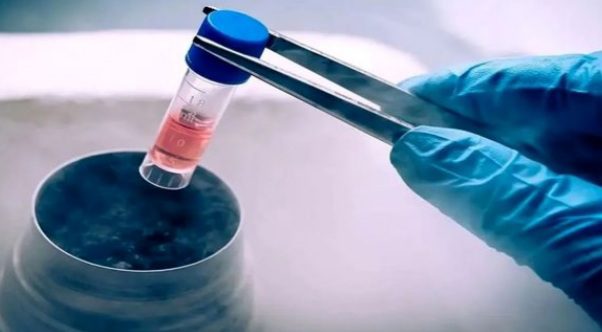 تعدادی از خانواده‌های‌ معترض: جنین اشتباهی تحویلمان دادند