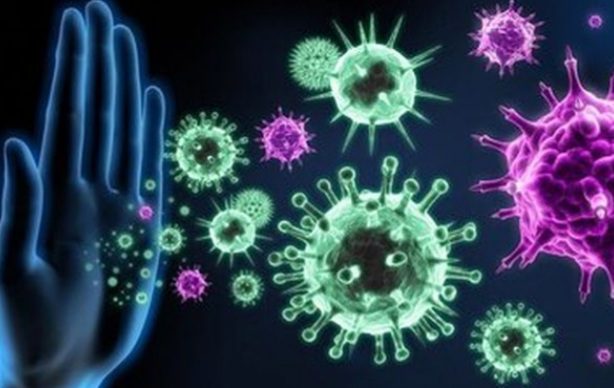 چند روش ساده برای تقویت سیستم ایمنی بدن