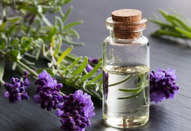 داروهای گیاهی می‌توانند عارضه داشته باشند/ داروهای گیاهی برای مصرف کودکان و مادران باردار و شیرده منع مصرف دارد