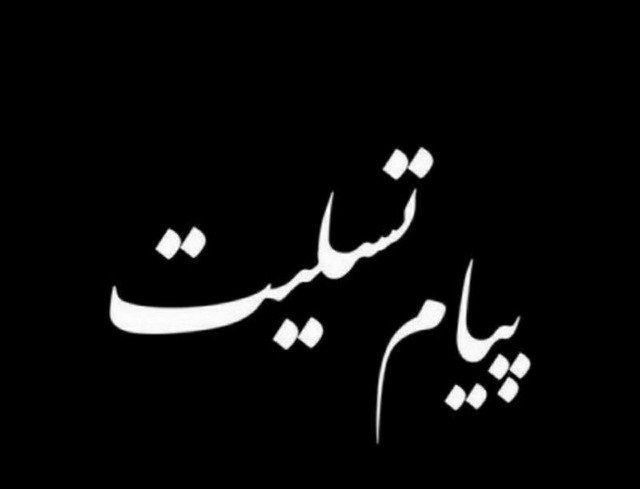 پیام تسلیت ناصر غلامی هوجقان به مناسبت درگذشت برادر جناب آقای کریم صادقزاده