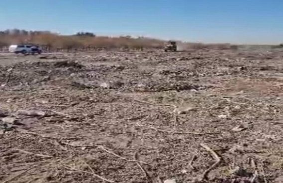 طرح گسترده انبوهکاری در محدوده “ناحیه گیاهشناسی” تبریز آغاز شد