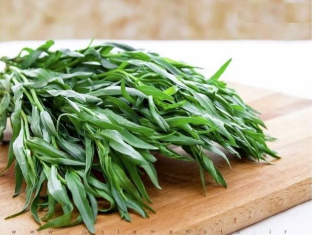 شهر ترخون ایران کجاست؟