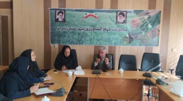 پایان دوران بی‌نام و نشانی محصولات خام؛ تحولی بزرگ در زنجیره ارزش کشاورزی استان