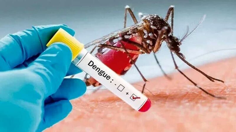 ابتلای ۹۴۵ نفر به تب دنگی/۱۹۷ مورد سابقه سفر به خارج از کشور داشتهاند