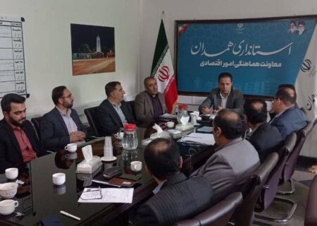 حمایت هدفمند از مشاغل خانگی در دستور کار دستگاه‌های اجرایی استان قرار گرفت