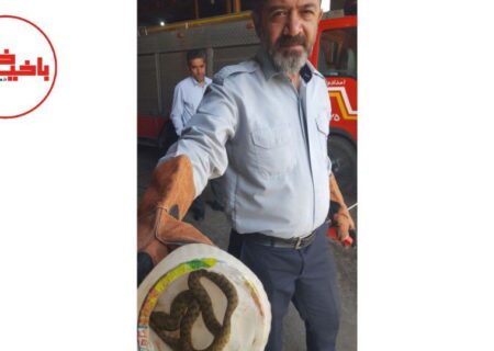 وحشت راننده از ماری در داخل موتور خودرو / آتش نشانان مرندی وارد عمل شدند