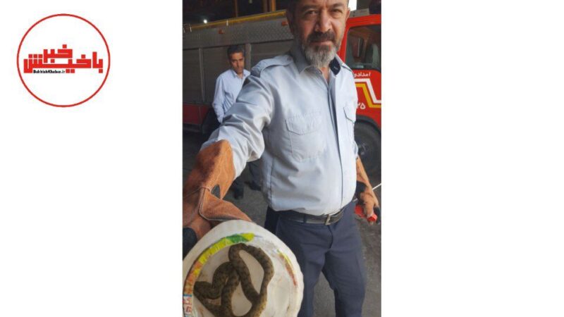 وحشت راننده از ماری در داخل موتور خودرو / آتش نشانان مرندی وارد عمل شدند