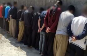 بازداشت  ۱۹ معتاد پر خطر مرندی