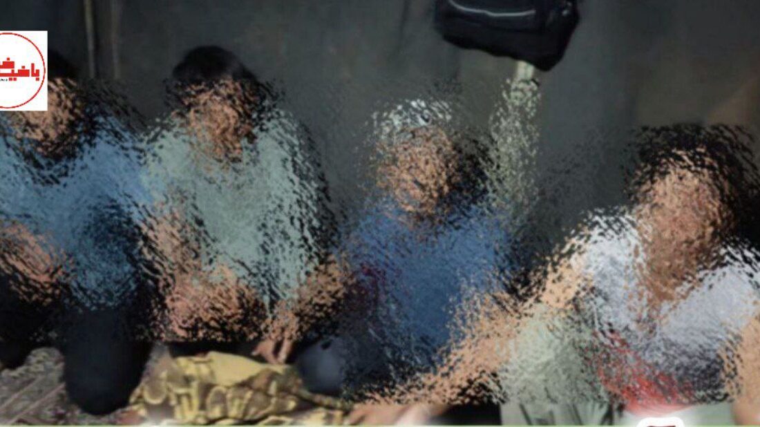 ۸اتباع غیرمجاز در میانه با همکاری شهروندان جمع آوری شد