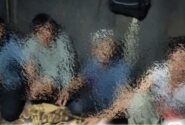 ۸اتباع غیرمجاز در میانه با همکاری شهروندان جمع آوری شد