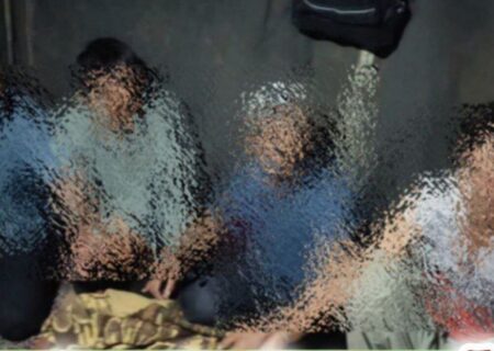 ۸اتباع غیرمجاز در میانه با همکاری شهروندان جمع آوری شد