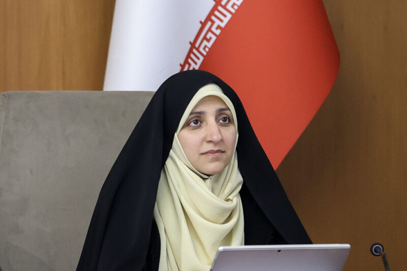 بهروز آذر: سرمایه اجتماعی و عاطفی، عنصر کلیدی موفقیت مشاغل خانگی است