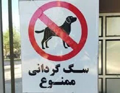 مهدسگ‌ تبریز پلمپ شد