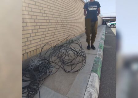 بازداشت دزد سیم و کابل برق در”میانه”