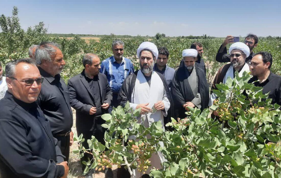 اجرای طرح شجره طیبه در روستای کردلر با اهدای نهال‌های زکاتی توسط خیرین