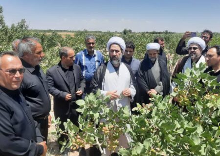 اجرای طرح شجره طیبه در روستای کردلر با اهدای نهال‌های زکاتی توسط خیرین