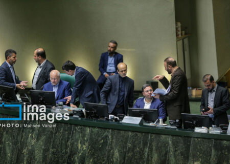 لایحه حمایت از ایرانیان خارج از کشور و طرح نحوه برگزاری تجمعات در صحن مجلس بررسی می‌شود