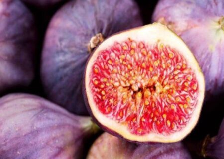 شاه میوه تابستانه از راه رسید