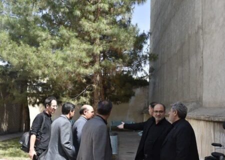 کتابخانه‌های عمومی باید به نهادهای فرهنگی پویا و هوشمند تبدیل شوند