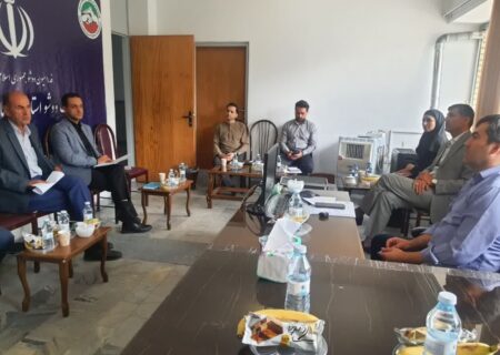 برگزاری جلسه تخصصی حوزه معاونت ورزشی اداره کل ورزش و جوانان استان با اعضای هیئت ووشو استان