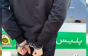 سارق محتویات خودرو در چنگال پلیس “میانه”