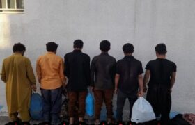 جمع آوری ۹ تبعه غیرمجاز در بستان‌آباد