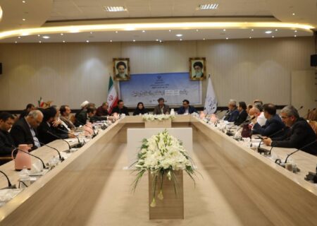 فعال‌سازی کمیته بهسازی محیط برای مقابله با پشه آئدس در استان اردبیل ضروری است