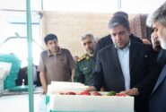 بازدید استاندار اردبیل از طرح بارانداز صادراتی حیات سبز در بیله‌سوار