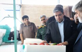 بازدید استاندار اردبیل از طرح بارانداز صادراتی حیات سبز در بیله‌سوار