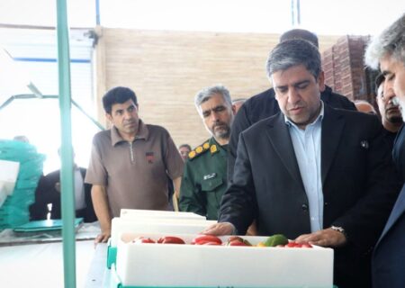بازدید استاندار اردبیل از طرح بارانداز صادراتی حیات سبز در بیله‌سوار