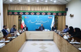 تاکید بر هم‌افزایی نهادی، در شورای فرهنگی استانداری همدان