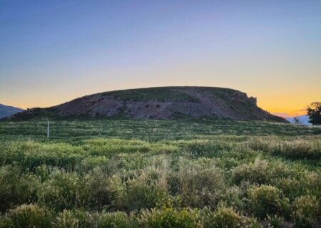 بازدید میدانی از کول‌تپه گرگر با هدف سامان‌دهی عرصه تاریخی