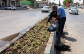 تشریح عملکرد هفتگی معاونت خدمات شهری شهرداری مسجدسلیمان در حوزه فضای سبز 