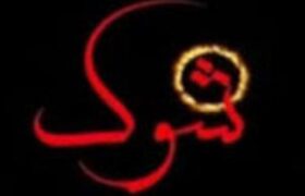 صداوسیما: اعتراف جاسوسان از تلویزیون پخش می‌شود