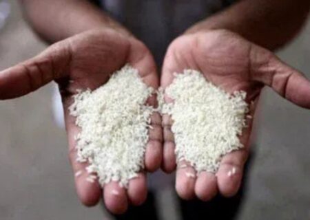 برنج ایرانی به زودی ارزان‌می شود/ ریزش شدید قیمت‌ها تا دو هفته آینده