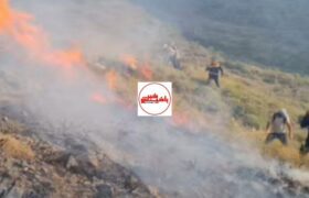 مراتع گویجه بئل طعمه حریق شد