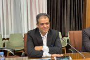 رهنما رئیس فدراسیون کاراته شد