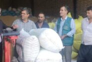 بازدید فرماندار و مدیر جهادکشاورزی از مراکز خرید تضمینی گندم هوراند