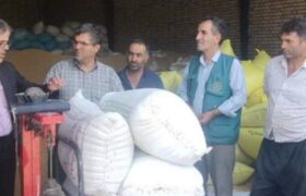 بازدید فرماندار و مدیر جهادکشاورزی از مراکز خرید تضمینی گندم هوراند