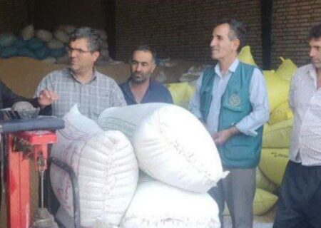 بازدید فرماندار و مدیر جهادکشاورزی از مراکز خرید تضمینی گندم هوراند