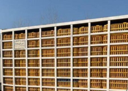 ۲هزار و ۳۰۰ قطعه مرغ زنده قاچاق در میانه کشف شد