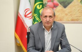 جای هیچ گونه نگرای نیست/گندم و آرد مورد نیاز استان به‌طور کامل فراهم است
